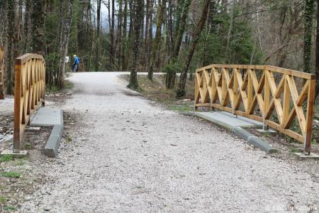 Z zasaditvijo dreves smo uradno odprli kolesarsko povezavo Kamnik–Godič (66)
